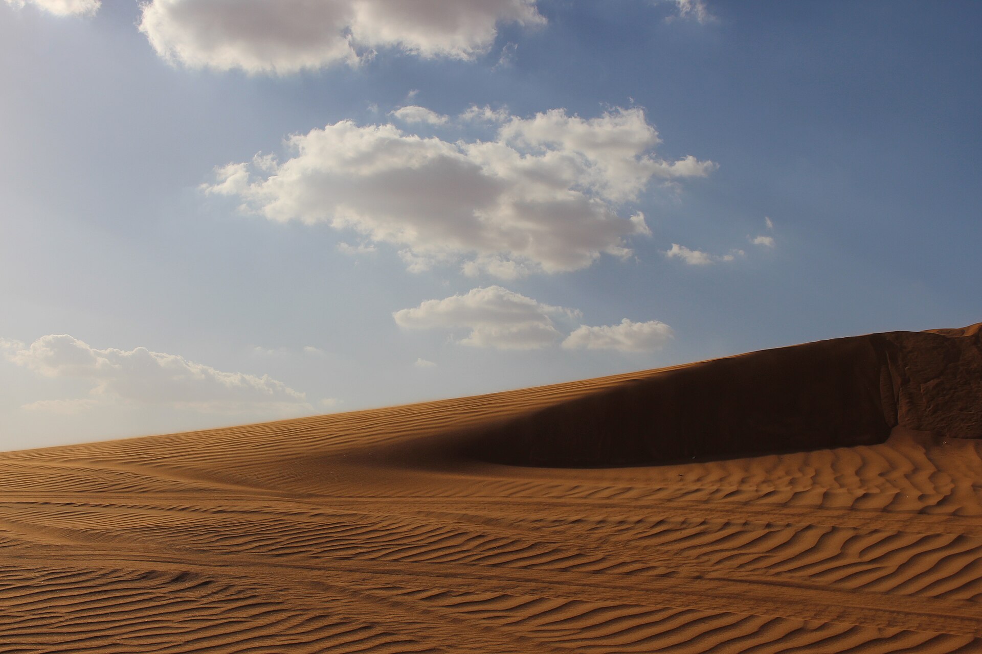 UAE desert dunes