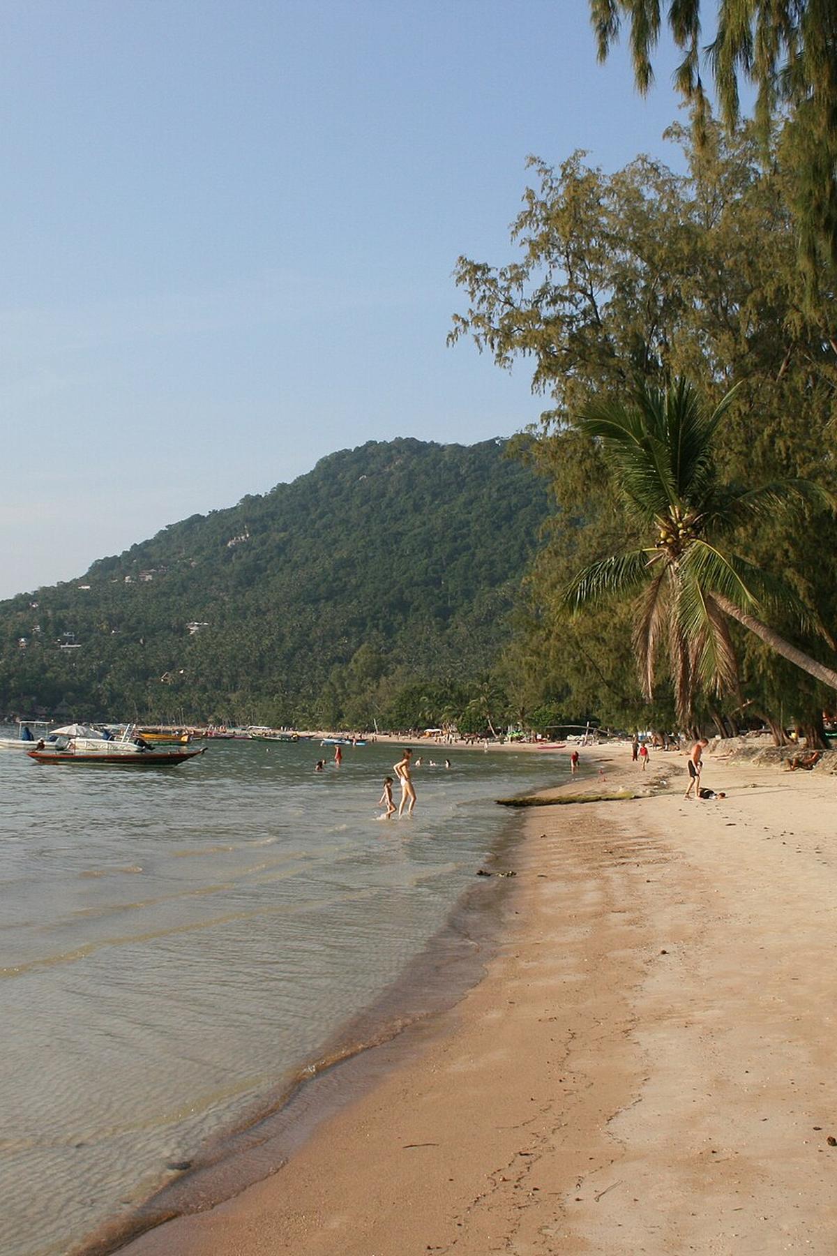 Koh Tao Sairee beach