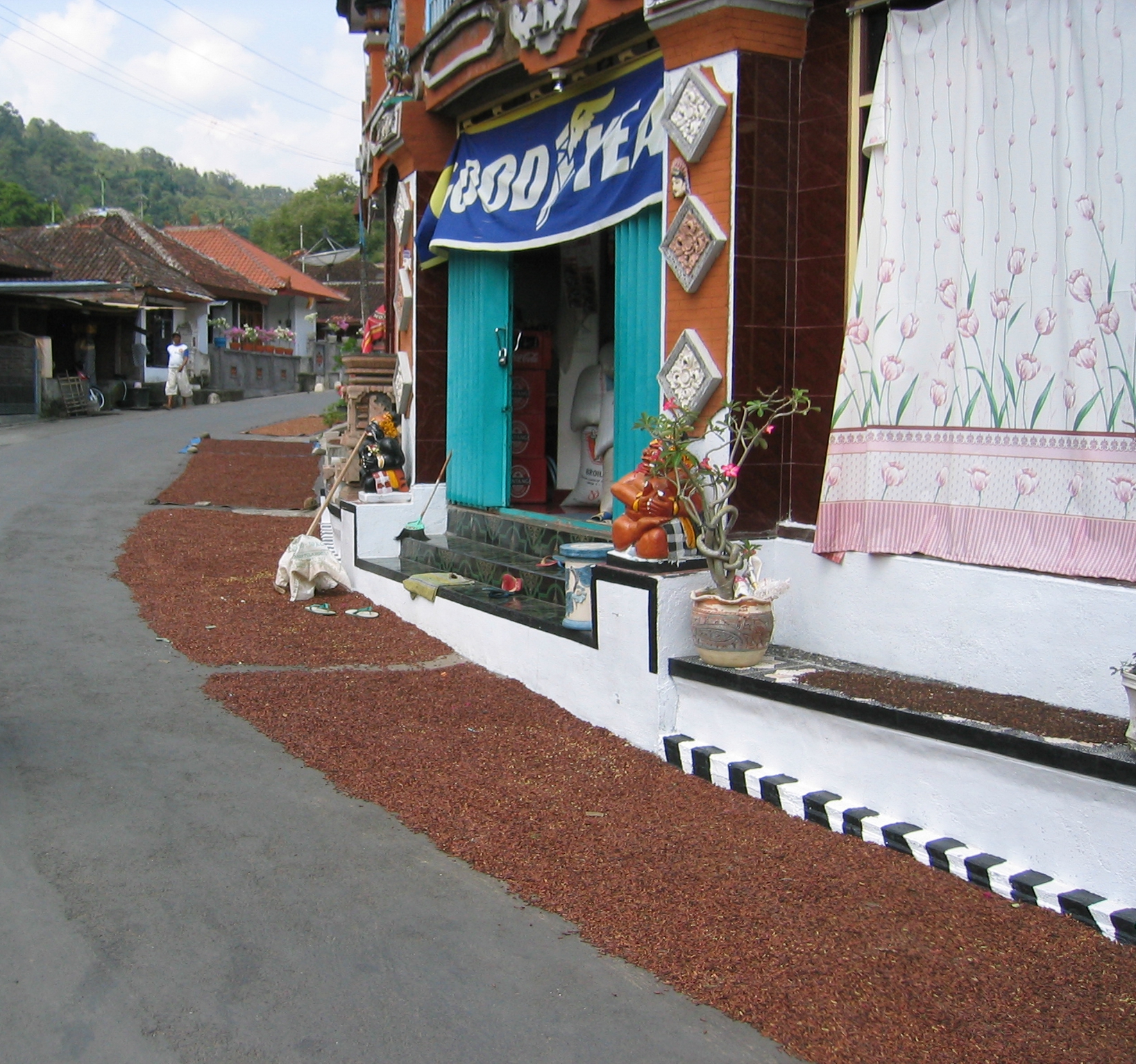 Bali dry